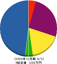 井手設備工業所 貸借対照表 2009年12月期
