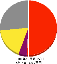 新田工務店 損益計算書 2009年12月期