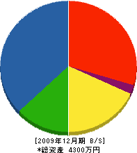 宮﨑建築 貸借対照表 2009年12月期