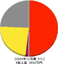 宮永工業 損益計算書 2009年12月期