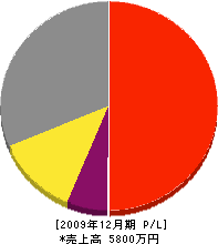 三浦建築 損益計算書 2009年12月期