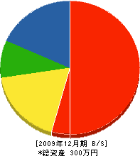 1坂組 貸借対照表 2009年12月期