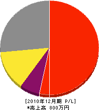 雅造園 損益計算書 2010年12月期 雅造園 損益計算書 2010年12月期