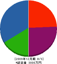 上市電気商会 貸借対照表 2009年12月期