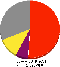 トザワ建装 損益計算書 2009年12月期