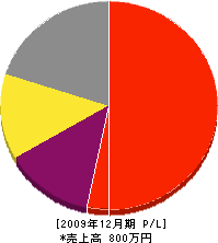 入江塗装店 損益計算書 2009年12月期