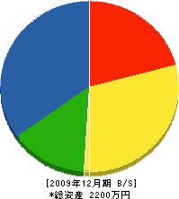 金子組 貸借対照表 2009年12月期
