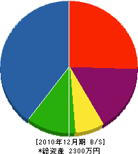 小笠原建設 貸借対照表 2010年12月期