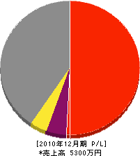 小林建築 損益計算書 2010年12月期