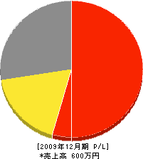 坂本給排水システム 損益計算書 2009年12月期
