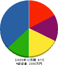 佐々木建築 貸借対照表 2009年12月期