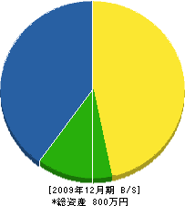 竹本電気 貸借対照表 2009年12月期