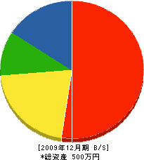 ＊田組 貸借対照表 2009年12月期