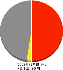武部建築 損益計算書 2009年12月期