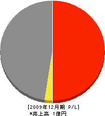 武部建築 損益計算書 2009年12月期 武部建築 損益計算書 2009年12月期