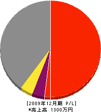 日隈建築 損益計算書 2009年12月期