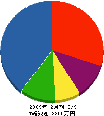 力工務店 貸借対照表 2009年12月期