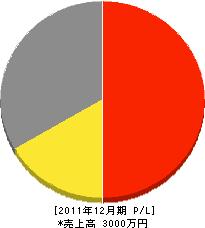 池田電気工事店 損益計算書 2011年12月期