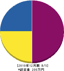 中尾正工務店 貸借対照表 2010年12月期