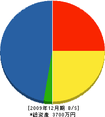 梅塚組 貸借対照表 2009年12月期