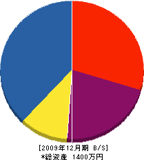 隆松電気 貸借対照表 2009年12月期
