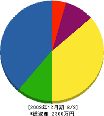 瀬高塗装 貸借対照表 2009年12月期