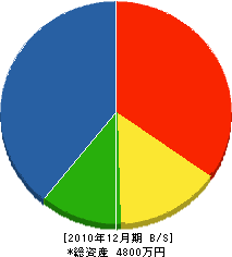 新田組 貸借対照表 2010年12月期
