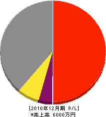 山本組 損益計算書 2010年12月期