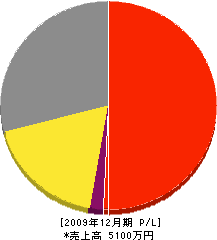 サンエイケミカルカンパニー 損益計算書 2009年12月期