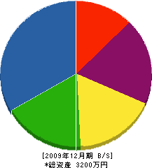 宝樹園 貸借対照表 2009年12月期
