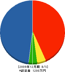 清水土木 貸借対照表 2009年12月期
