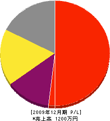 塩島塗装 損益計算書 2009年12月期