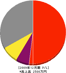 多田鉄工所 損益計算書 2009年12月期