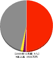 成田組 損益計算書 2009年12月期