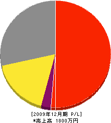 甲斐畳店 損益計算書 2009年12月期