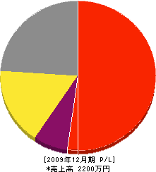 緑電設 損益計算書 2009年12月期 緑電設 損益計算書 2009年12月期