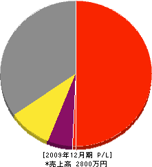 山電工業 損益計算書 2009年12月期