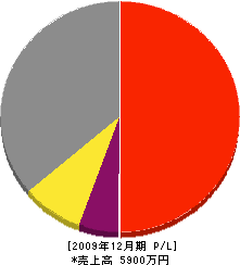 トータルペインティング三光 損益計算書 2009年12月期