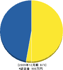 高宮電気商会 貸借対照表 2009年12月期