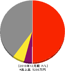 片山土木工業 損益計算書 2010年12月期