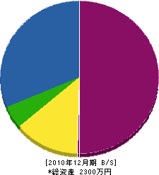 アイワリフォーム 貸借対照表 2010年12月期