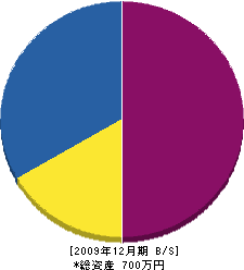 井手造園 貸借対照表 2009年12月期