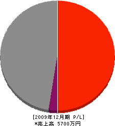 表野建設 損益計算書 2009年12月期