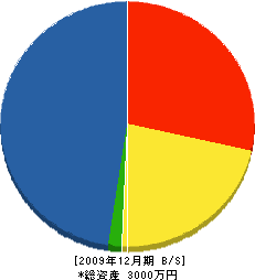泰安園 貸借対照表 2009年12月期