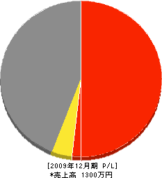 崎山電気工事店 損益計算書 2009年12月期