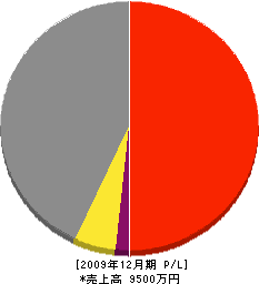 田﨑工業 損益計算書 2009年12月期