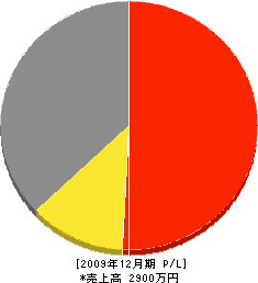 上野塗装店 損益計算書 2009年12月期