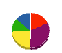 善王塗装店 貸借対照表 2008年6月期