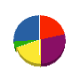 エムエス電建 貸借対照表 2010年12月期
