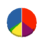 國真住建 貸借対照表 2009年5月期